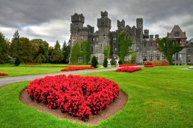 Ashford castle and gardens clipart