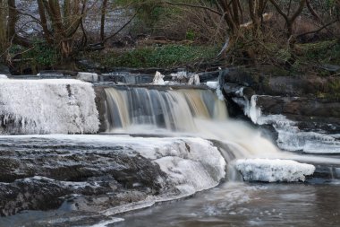 donmuş creek