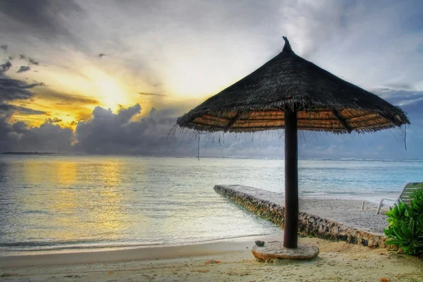 Umbrella sunrise — Stock Photo, Image