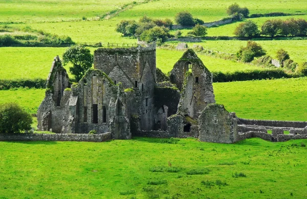 Old Abbey in Cashel — Stock Photo, Image