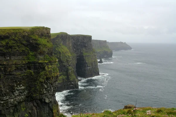 Cliffs of Moher — Stock Photo, Image