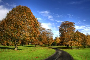 Autumn at the park clipart