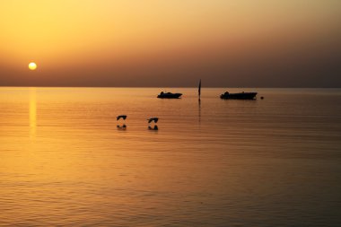 Sunrise Kızıldeniz üzerinden