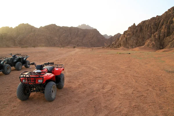 Quads trip in Sinai mountains — Stock Photo, Image