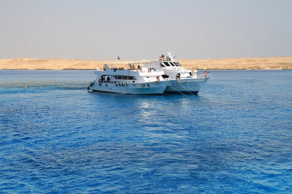 Сноркелинг с лодки на Красном море — стоковое фото