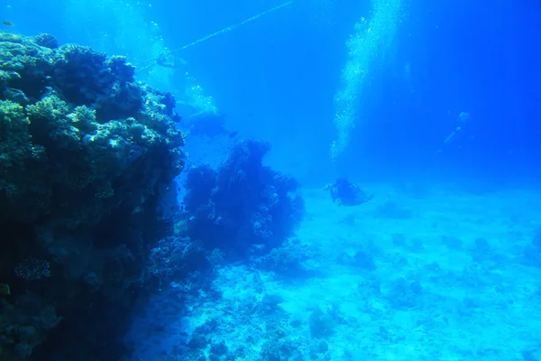 Scuba diving — Stock Photo, Image