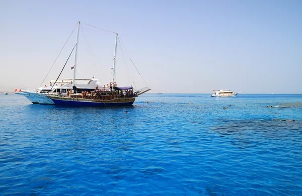 Snorkeling on Red Sea — Stock Photo, Image