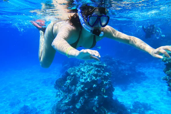 Snorkeling in mare rosso — Foto Stock
