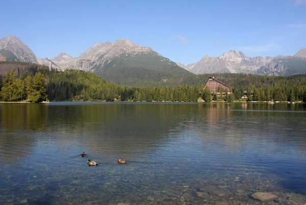 Lago e alte montagne di Tatra — Foto Stock