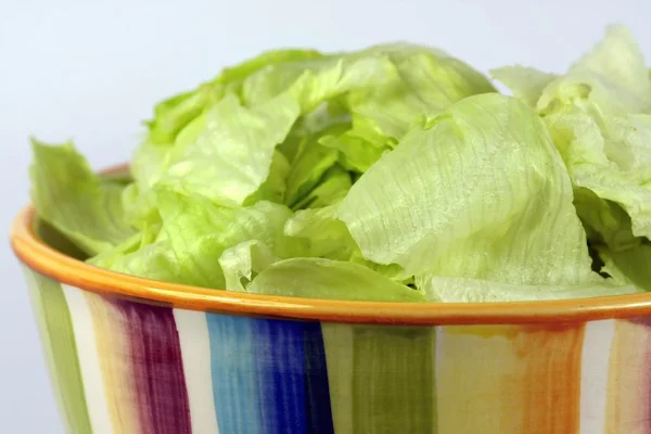 Salad dalam piring — Stok Foto