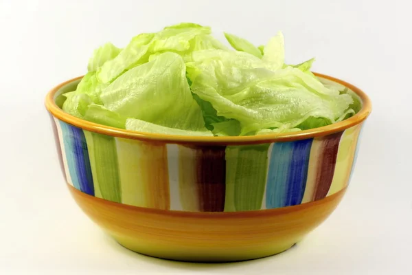 Salat in einem Gericht — Stockfoto