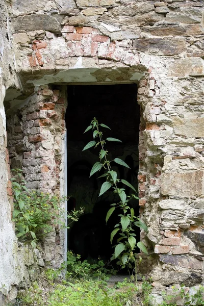 Abandoned entrance — Stock Photo, Image