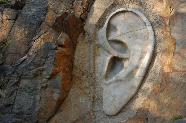 Stone ear — Stock Photo, Image
