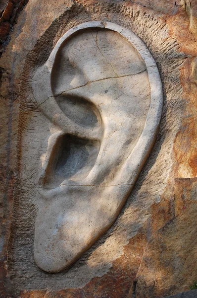 दगड कान — स्टॉक फोटो, इमेज