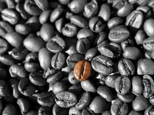 Kaffeebohnen — 스톡 사진