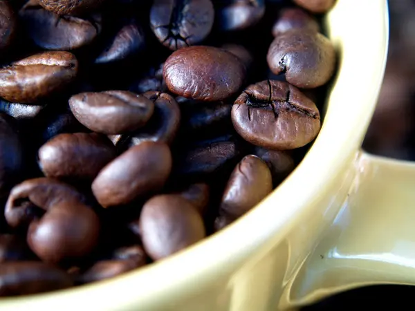 Coffee beans — Stockfoto