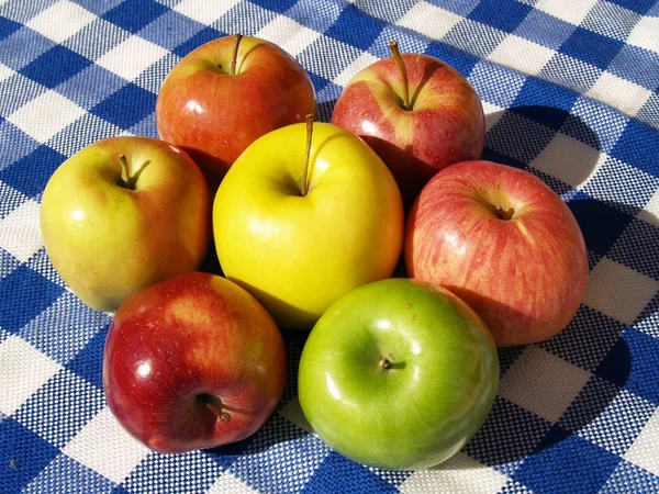 Äpfel Stockbild