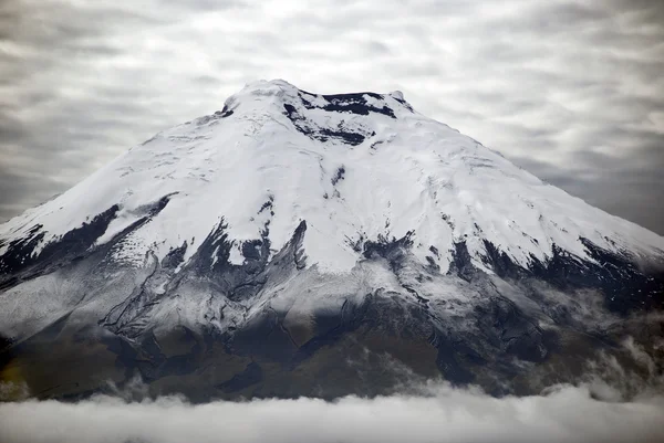 Cotopaxi