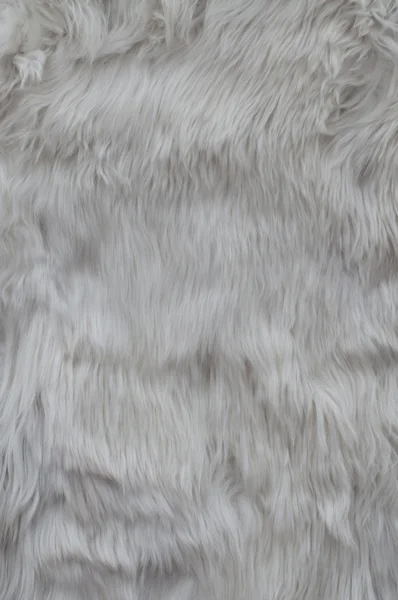 alpaka kürk arka plan