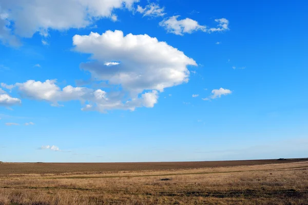 Gult fält på blå himmel bakgrund — Stockfoto