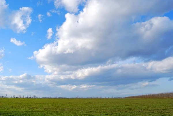 Зеленое поле на голубом фоне неба — стоковое фото