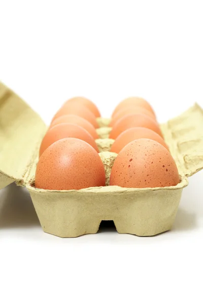 Коричневые яйца в коробке — стоковое фото