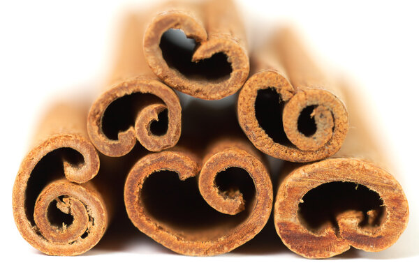 Stack of cinnamon with shallow DOF