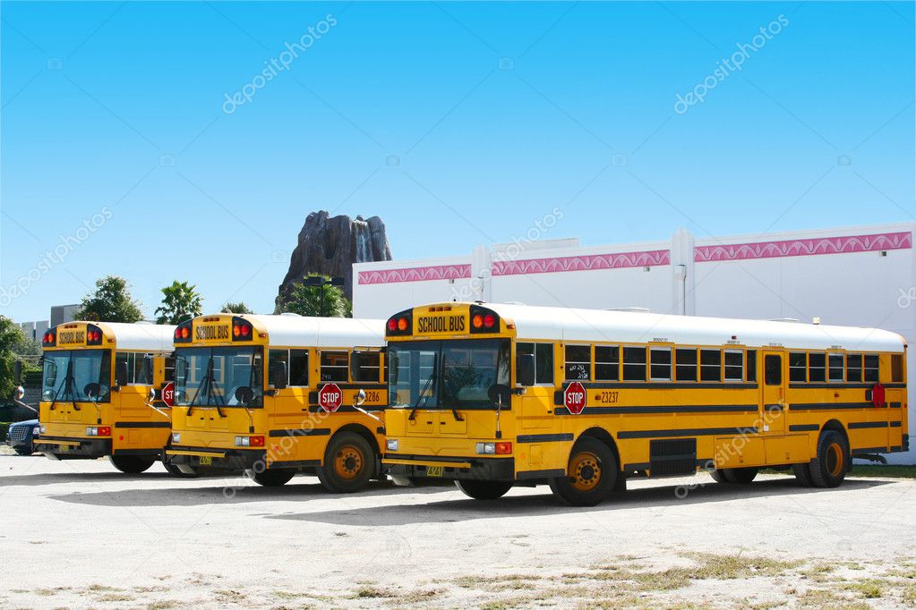 School buses in Orlando, Florida