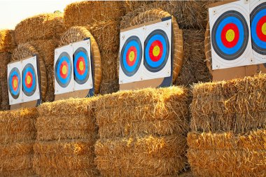 Bow targets in a row clipart