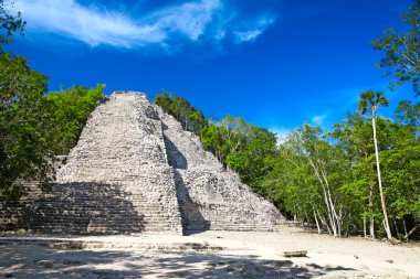 Mayan Nohoch Mul pyramid in Coba, Mexico clipart