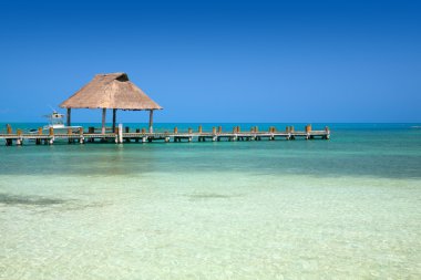 Pier on the Isla Contoy, Mexico clipart