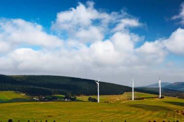 Rüzgar değirmeni elektrik üreten bitkiler