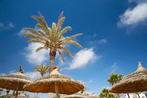 Thatched sunshades and palm trees — Stock Photo, Image