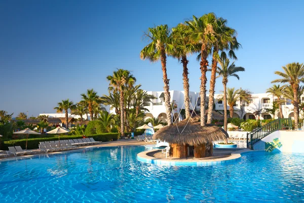 Swimmingpool med palmer — Stockfoto