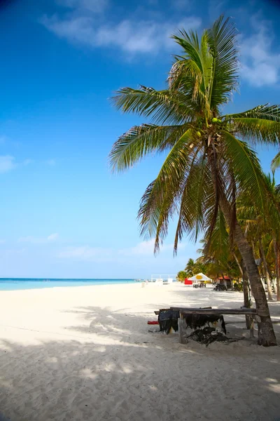 Пляж на Isla Mujeres, Мексика — стокове фото