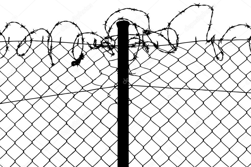 Fence with barbed wires