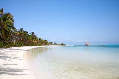 Beach on the Isla Contoy, Mexico clipart