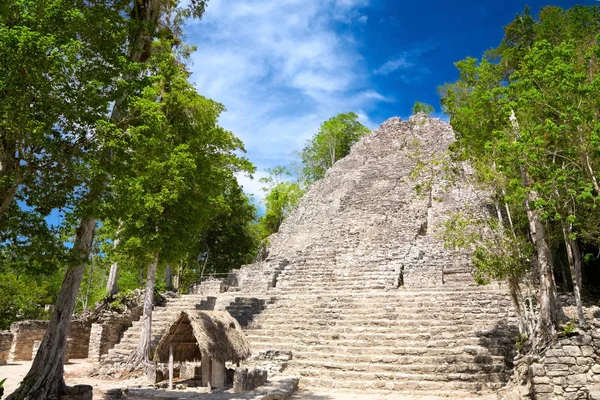La Felesia Pyramid, Коба, Мексика — стоковое фото