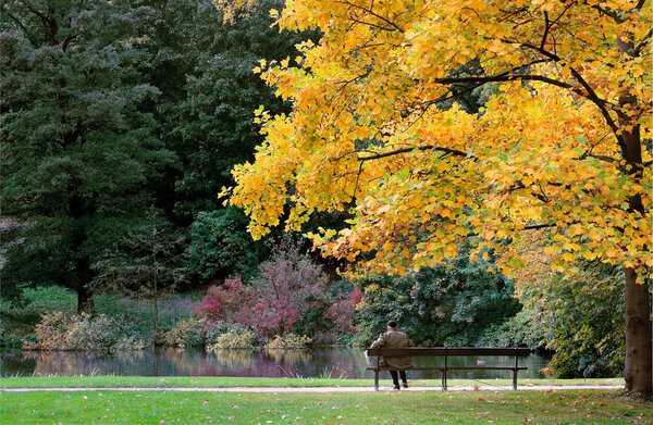 Sitting on bench in park