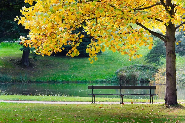 공원에 있는 텅 빈 벤치 — 스톡 사진