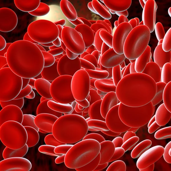 Vörös vérsejtek — Stock Fotó