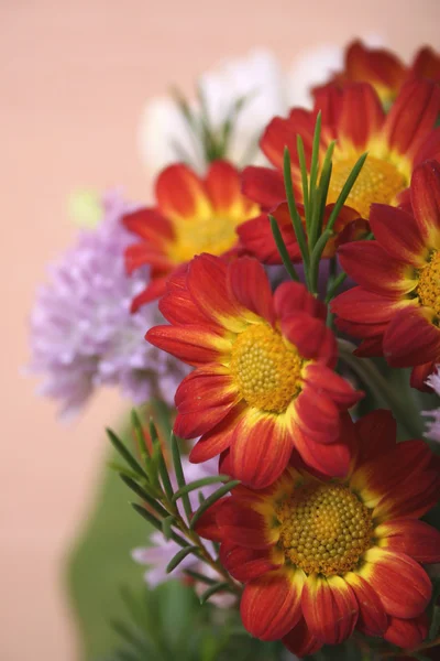 Blommor bukett närbild — Stockfoto