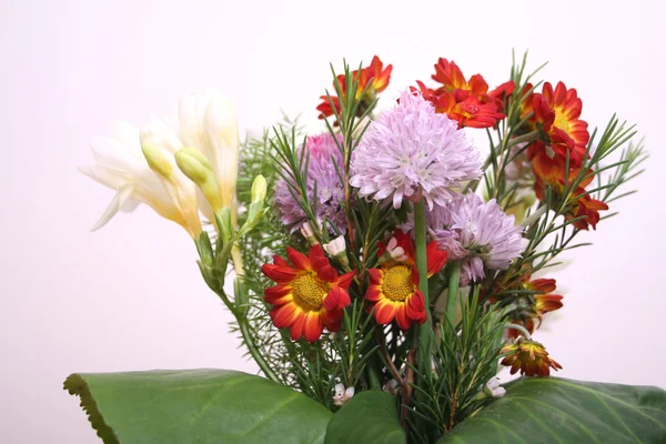 Ramo de flores de cerca — Foto de Stock