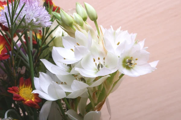 Flowers bouquet close up — Stock Photo, Image
