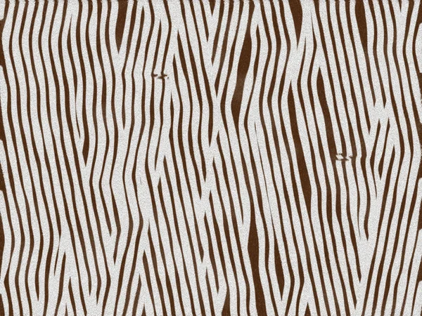 Zebra futro tekstura — Zdjęcie stockowe