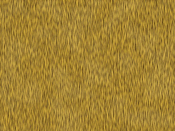 Tygrys futro tekstura — Zdjęcie stockowe