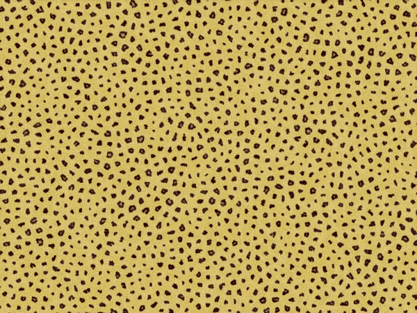 Textura de pele de leopardo — Fotografia de Stock