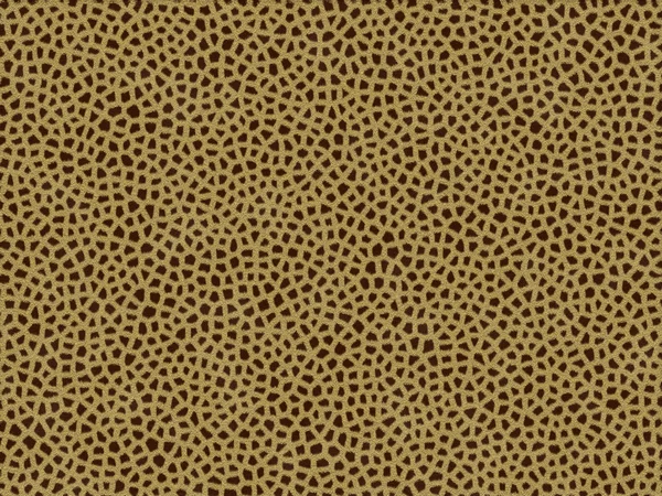 Textura de piel de jirafa — Foto de Stock