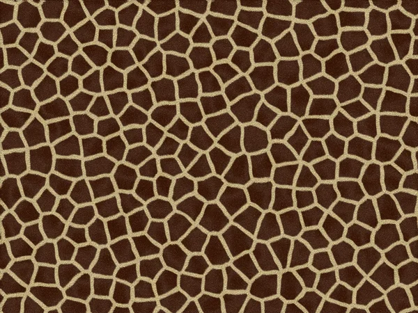 Giraffe fur texture — Stock Photo, Image