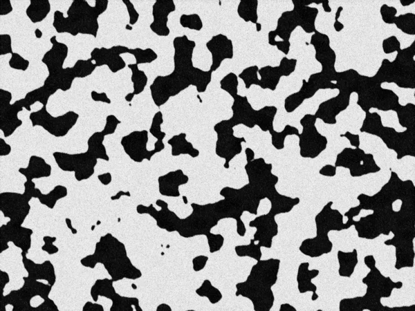 Dalmatian fur texture — Stock Photo, Image